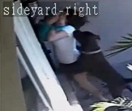 O mama si fiul ei de 2 ani, atacati de caini in fata casei. Ce a urmat