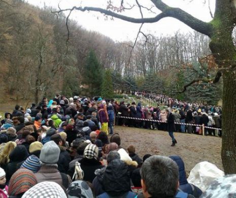 Vorbe şocante rostite de o călugăriţă la mormântul lui Arsenie Boca. “Nu vă mai închinaţi la un copac”