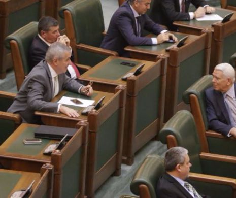 CINE sunt PREȘEDINȚII de Comisii la SENAT