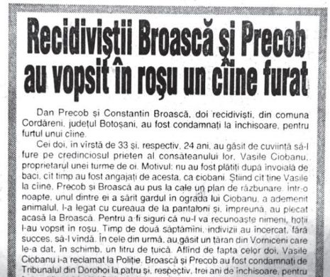 Doi ciobani recidiviști au vopsit în roșu câinele pe care l-au furat | Memoria EVZ