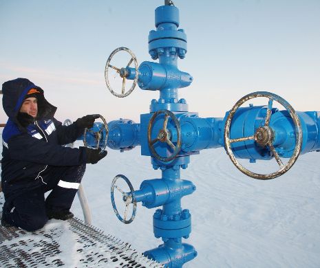 EXCLUSIV. Cine este favoritul pentru funcţia de ministru al Energiei