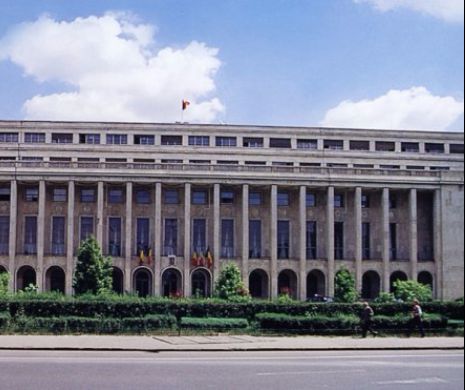 Guvernul a decis numirea a 12 noi consuli generali