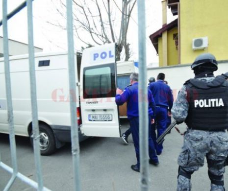 Surdu și Charlie, 30 de zile în arestul IPJ Dolj