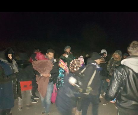 Zeci de migranți irakieni depistați la Negru Vodă de polițiștii de frontieră constănțeni