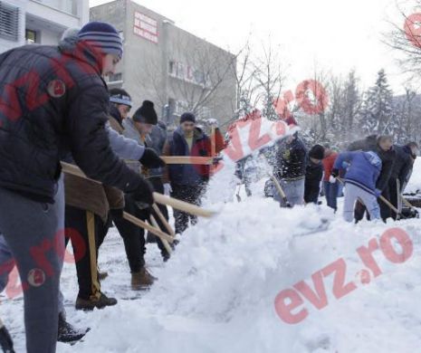 Firea a scos pușcăriașii de la Jilava în stradă, la dezăpezire