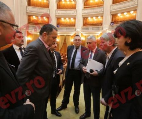 Hellvig l-a scăpat pe Coldea din ghearele parlamentarilor | EVZ EXCLUSIV