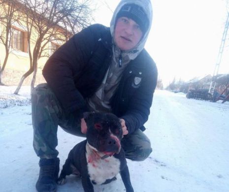 Imagini CUTREMURĂTOARE. Un individ fără inimă își pune pitbull-ul să sfâșie câinele unui vecin, și filmează I VIDEO