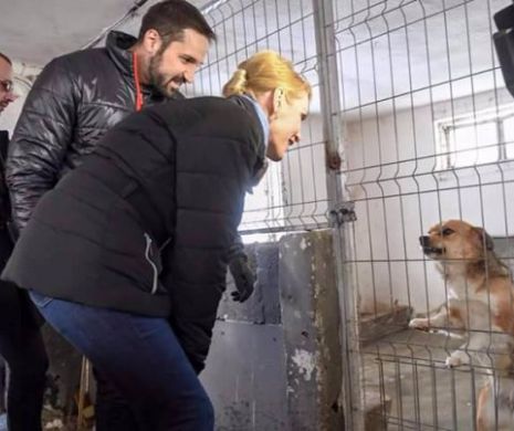 SURSE: SCENARIUL EXPLOZIV ÎN PRIMĂRIA CAPITALEI. Tudy PUNE MÎNA pe Circul Globus! Detalii de ULTIMĂ ORĂ
