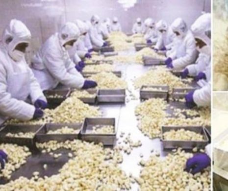 USTUROIUL DIN CHINA ascunde un ADEVĂR GROAZNIC. Consumul generează UN PERICOL GROAZNIC pentru sănătate, iar cazul a intrat ÎN ATENŢIA DNA