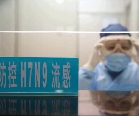 ALPAB: Gripă aviară în Parcul Tineretului