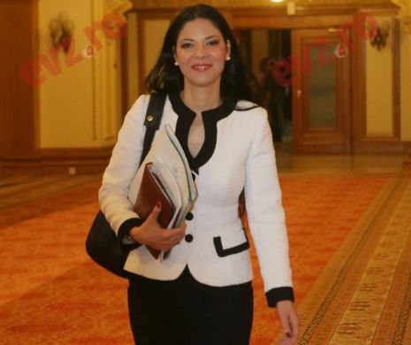 Ana Birchall VREA PACE la Justiţie. A chemat la dialog CSM, DNA şi DIICOT. Întâlnire-fulger cu ambasadorul Germaniei