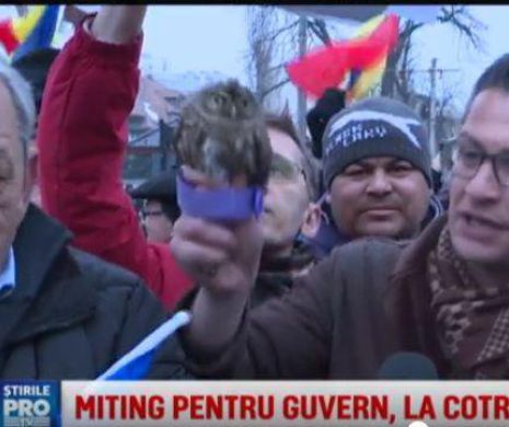CUCUVEAUA de la Cotroceni îi poate aduce stăpânului AMENDĂ sau ÎNCHISOARE