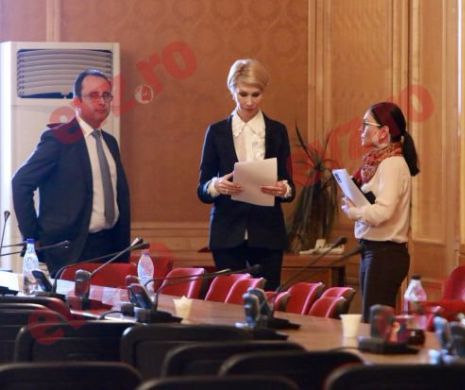 Cum vrea PNL să fie un partid după modelul PSD