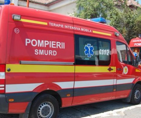 Descoperire macabră în Constanţa. Un bărbat a fost găsit fără suflare, devorat de şoboloni