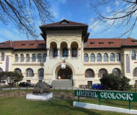 Directoarea Muzeului de Geologie spulberă super-investigaţia lui Cătălin TOLONTAN. “Radiațiile sunt în limite normale”
