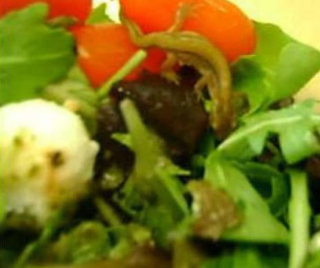 Două supermarketuri mari au raționalizat vânzarea de salată și brocoli