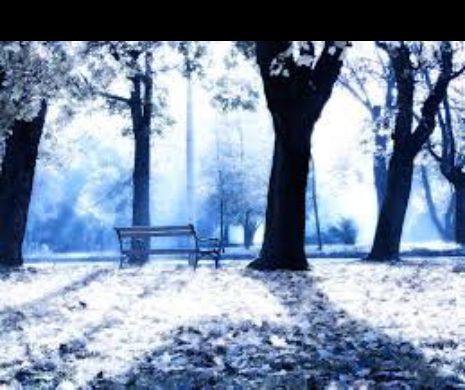 Fetiță de 4 ani lăsată să ÎNGHEȚE  de frig în parc, de mama în comă ALCOOLICĂ