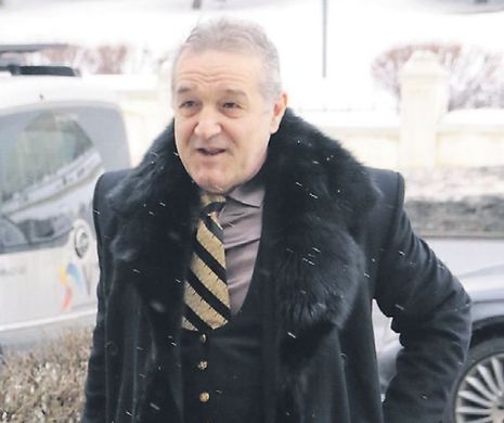 Gigi Becali vrea să salveze România cu „Familia Ortodoxă”