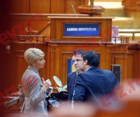 PNL a dat în clocot! Senator: "Crapă ficatu'-n mine că am ajuns să ne dea USR cu flit"
