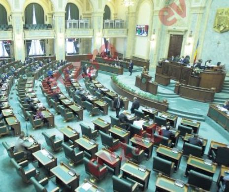 SCANDAL URIAȘ la prima ședință a Senatului. PROTEST PNL și USR împotriva OUG. BĂTĂI în MESE și AFIȘE inscripționate "TUPEU de BORFAȘ"