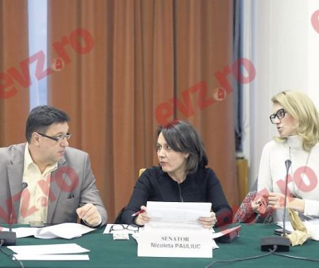 Strategie nouă în politică. Femeile din PNL caută conflicte ca să iasă în față