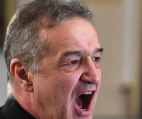 ULTIMA ORA! Becali revine in politica! Patronul Stelei isi face partid: "Oameni ca Dragnea nu au ce cauta!"