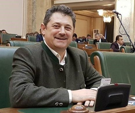Un deputat socia-democrat corectează sloganurile din Piaţa Victoriei. „Noaptea, ca hoții” nu e bun, pentru că „dacă era vară, era lumină la ora aia”