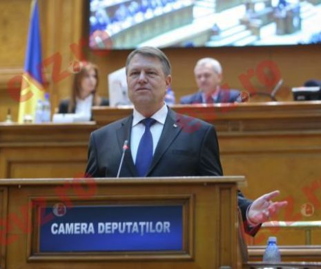 Undă verde pentru referendumul lui Iohannis