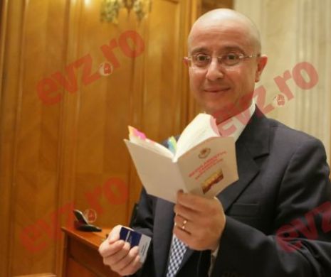10 ani de pușcărie riscă cei care defrișează pădurile