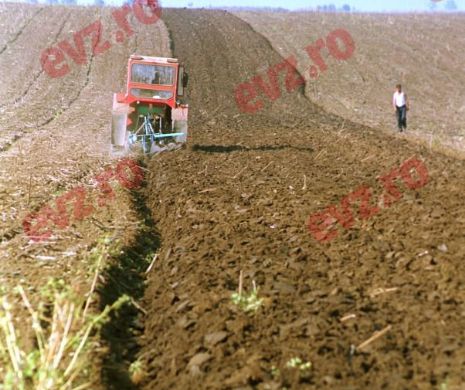 Agricultură ca în Evul Mediu. Mâncarea românilor, la cheremul buletinului meteo