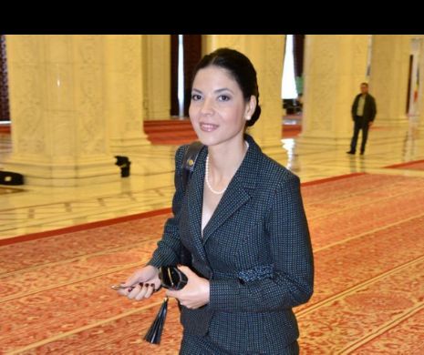 Ana Birchall: „Este esenţial ca Uniunea să reafirme sprijinul pentru politica de extindere a UE”