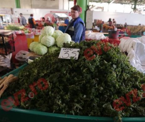 Au apărut trufandalele. Urzici la preț de vită Kobe
