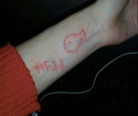 ”Balena Albastră”- declarații ale unui șef din Poliție: 4 ”curatori” au fost identificați. 293 de copii implicați în jocul online. O fată de 16 ani din Chișinău a fost oprită în ultimul moment să se omoare
