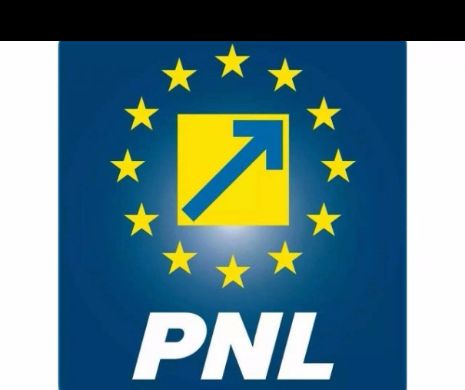 Care este liberalul care vizează șefia ICR