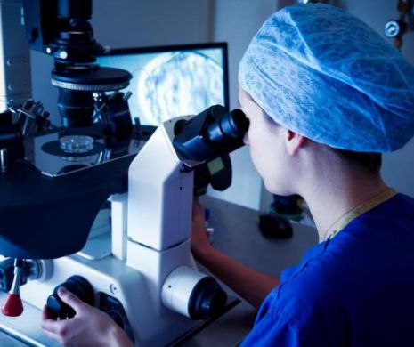 Concluzie uimitoare a savanţilor care au studiat “mâncatul de pe jos”. Regula celor cinci secunde a fost infirmată total