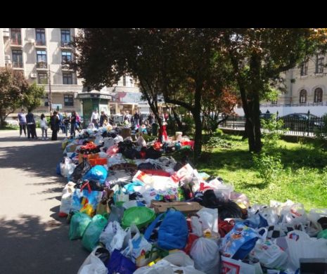 Copacul cu haine, o acțiune înfrânată de funcționari ai Primăriei Capitalei