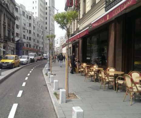 DEZASTRU sau nu?. Calea Victoriei va fi pietonală în weekend
