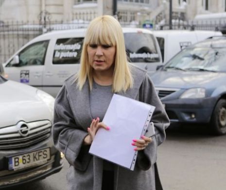Elena Udrea, 6 ani de închisoare cu executare