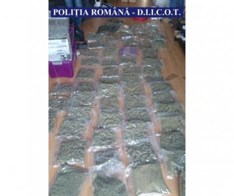 FABRICANTUL de DROGURI. Românul care producea CANNABIS de SUTE DE MII de EURO în capitala României