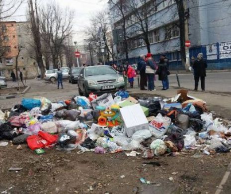 Focar de infecţie în Capitală. Maldăre de gunoaie zac în faţa şcolii. Primăria nu mai aduce tomberoane