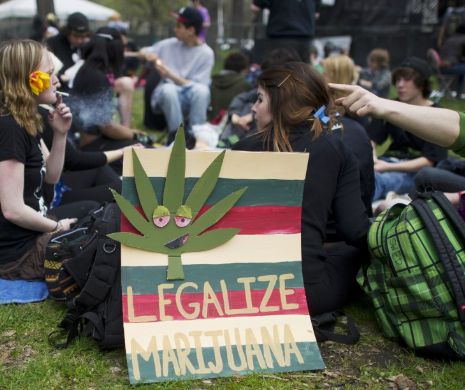 Fumatul de MARIJUANA nu mai este o INFRACŢIUNE. Ce spune PREMIERUL