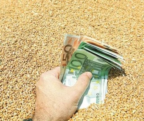 IMPORTURILE de produse AGROALIMENTARE la un MAXIM ISTORIC. Deficit de şase ori mai mare decât în 2015