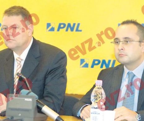 Iohannis și Hellvig, armele folosite de liberali în războiul pe șefia PNL