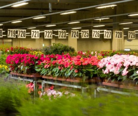 Maraton expozițional. Construcții, amenajări ambientale, peisagistice și instalații