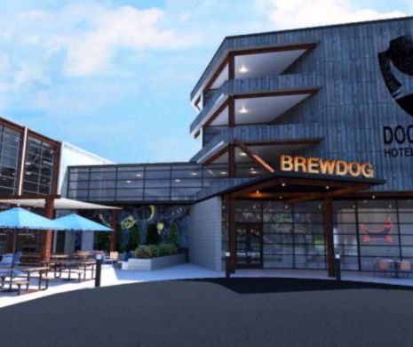 ”Paradisul berii”. Va fi construit primul hotel dedicat berii