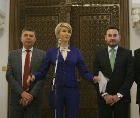 PNL a depus un amendament la Constituţie