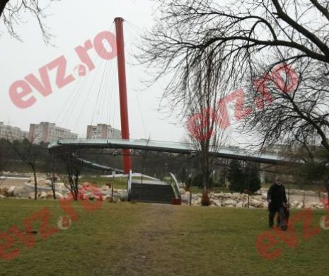 Primăria Sectorului 6 vrea să dea o SUMĂ URIAŞĂ pentru întreţinerea parcului Drumul Taberei