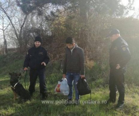 RĂTĂCIT pe fâșia verde. Un irakian nemulțumit de condițiile de azi în România, a vrut înapoi în Serbia