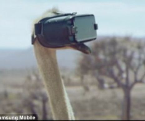 SAMSUNG. Cum testează noile echipamente pe STRUŢI? VIDEO