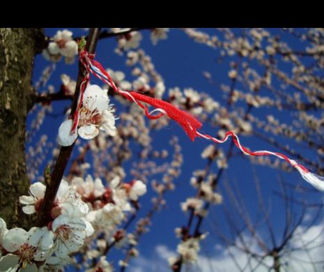 Un altfel de mărțișor | SFÂNTUL ZILEI